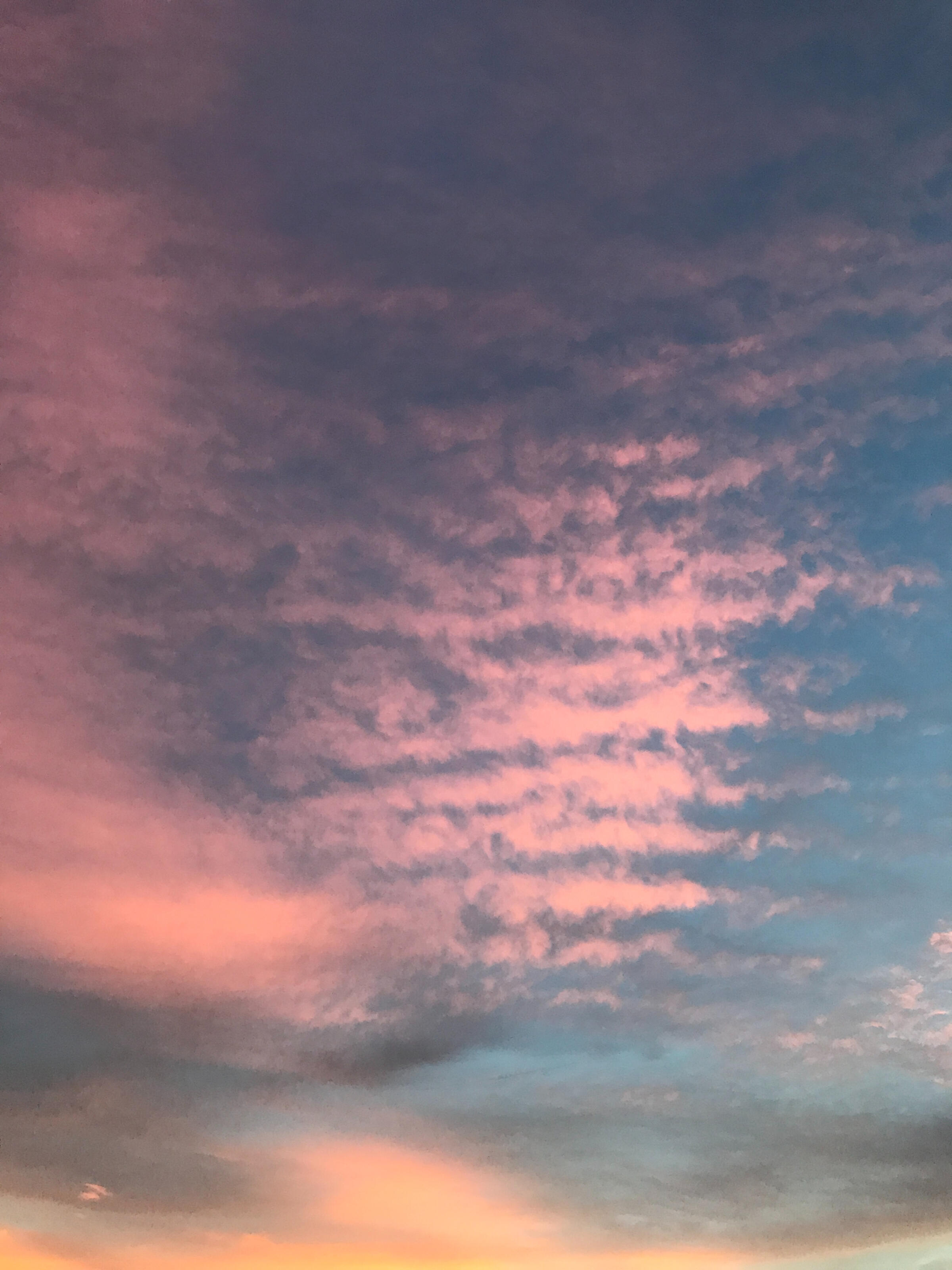 Pink clouds across a blue evening sky. Photograph by Bryan Peach.